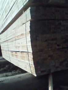 構建高效木材供應鏈 聚焦工地方材與采伐機械制造新趨勢